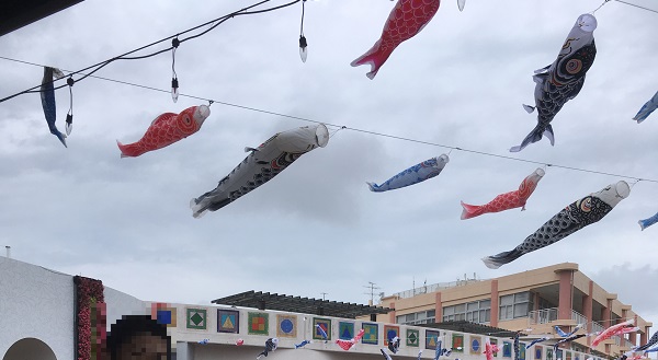 沖縄こどもの国・こいのぼり