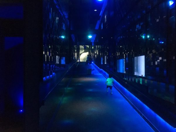 すみだ水族館万華鏡トンネル