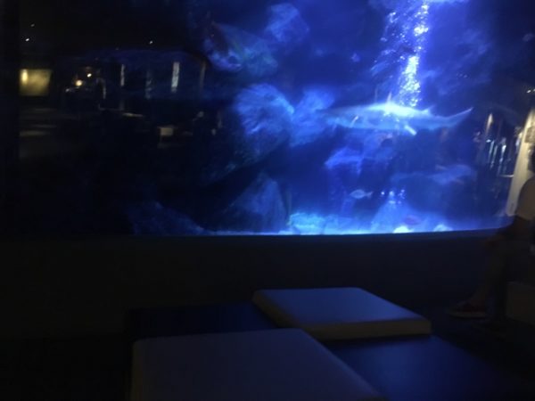 すみだ水族館大水槽前