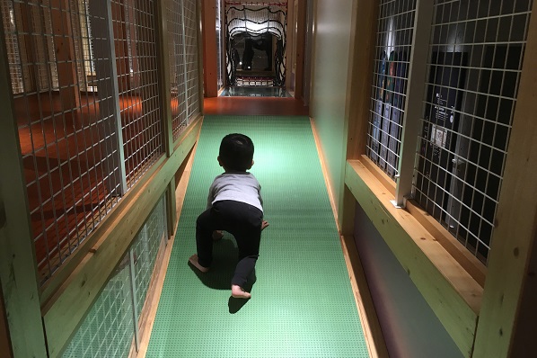 コンパス坂道