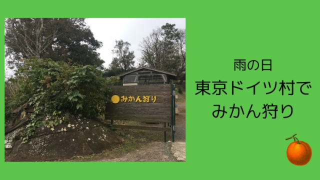 雨の日の東京ドイツ村でみかん狩り こども４人と旅と子育て
