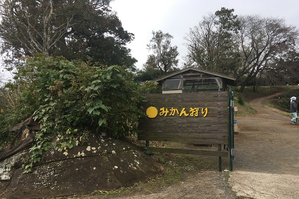 東京ドイツ村みかん狩り入口