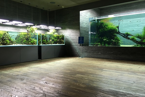 すみだ水族館・人がいない