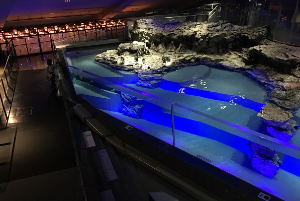 すみだ水族館・ペンギン