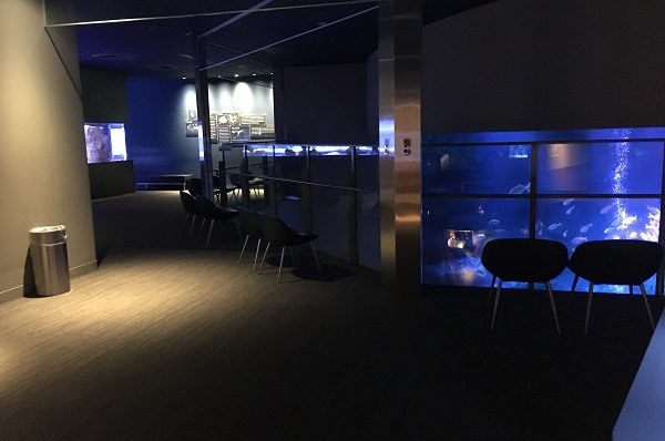 すみだ水族館・館内の様子