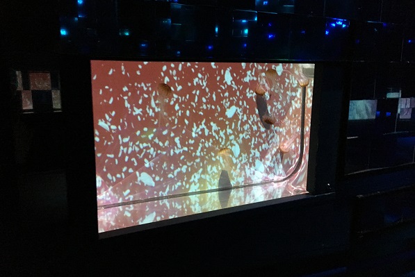 すみだ水族館・万華鏡トンネル桜