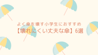 小学生がよく傘を壊す【壊れにくい丈夫な傘】6選