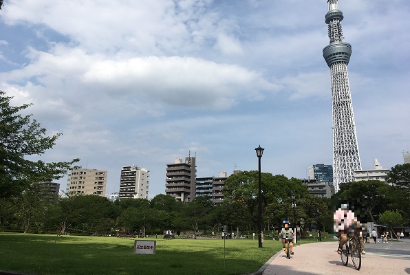 墨田区隅田公園・芝生