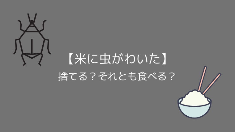 米に虫がわいた 捨てる それとも食べる こども４人と旅と子育て
