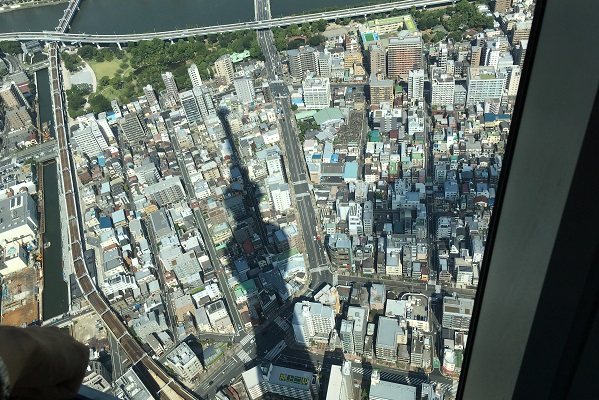 東京スカイツリー半額・景色