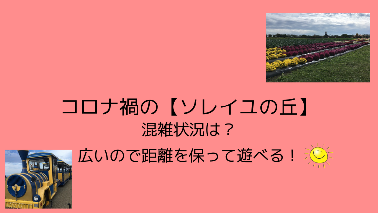 コロナ禍の ソレイユの丘 混雑状況は 広いので距離を保って遊べる こども４人と旅と子育て