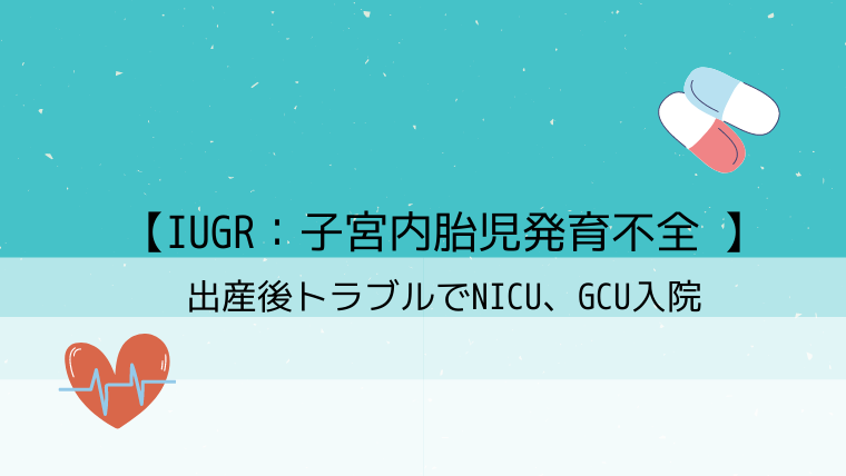 Iugr 子宮内胎児発育不全 産後トラブルでnicu Gcu入院 こども４人と旅と子育て