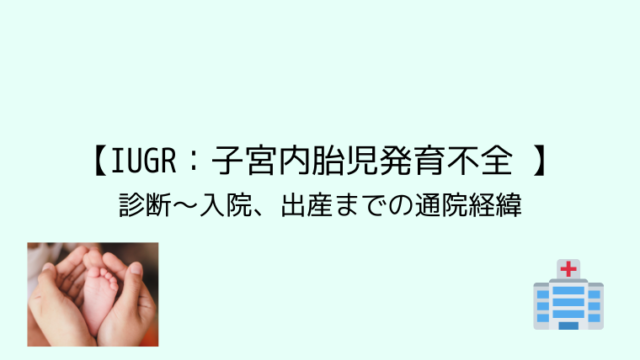 Iugr 子宮内胎児発育不全 診断 入院 出産までの通院経緯 こども４人と旅と子育て